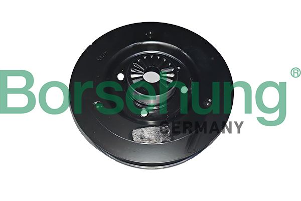 Borsehung B19120