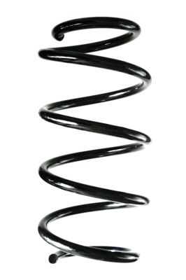 Arc spiral SPIDAN 88376