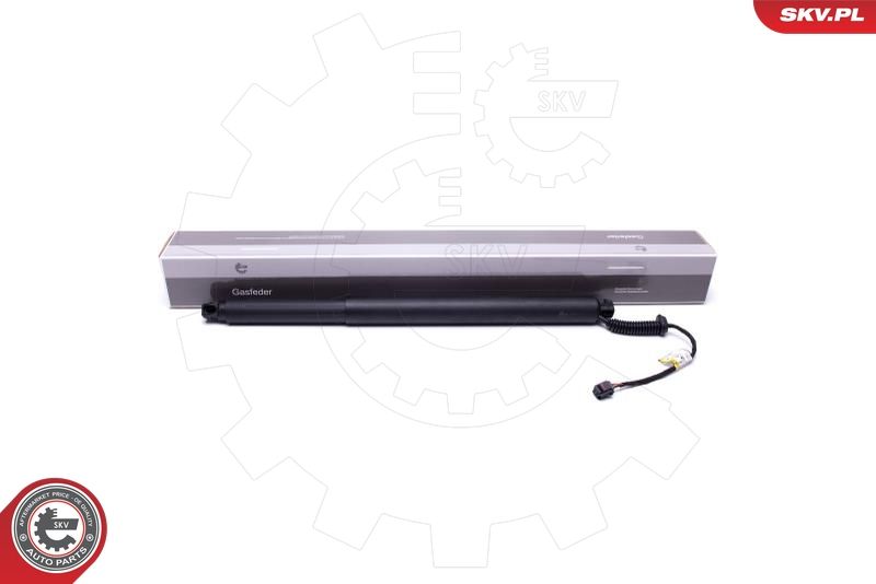 Motor electric, haion ESEN SKV 52SKV913