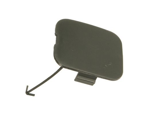 acoperire tampon,sistem de remorcare BLIC 5513-00-2901920P