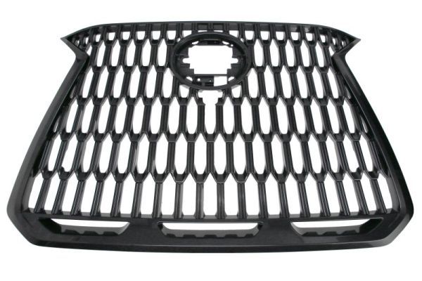 Grila radiator BLIC 6502-07-8268995P