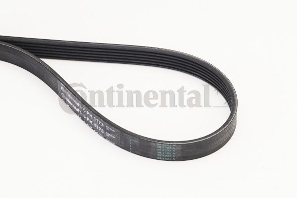 Pasek klinowy wielorowkowy CONTINENTAL CTAM 6PK1173