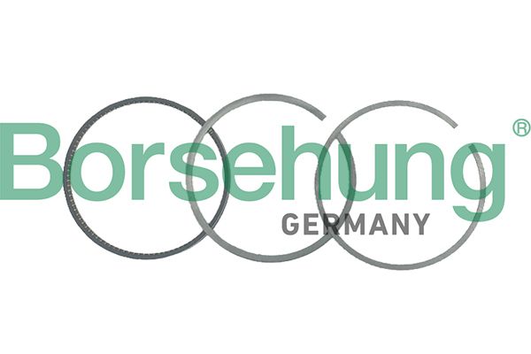 Zestaw pierścieni tłokowych BORSEHUNG B19036