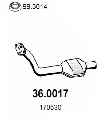 Katalizator ASSO 36.0017