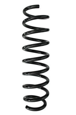 Arc spiral SPIDAN 87963