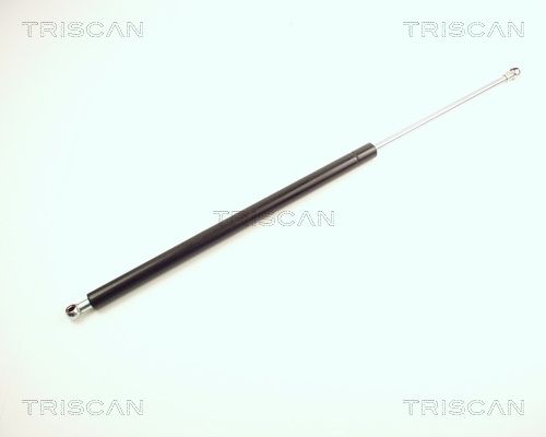 Amortizor portbagaj TRISCAN 8710 24209