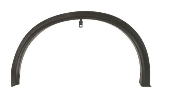 latire,aripa MTR 12182542