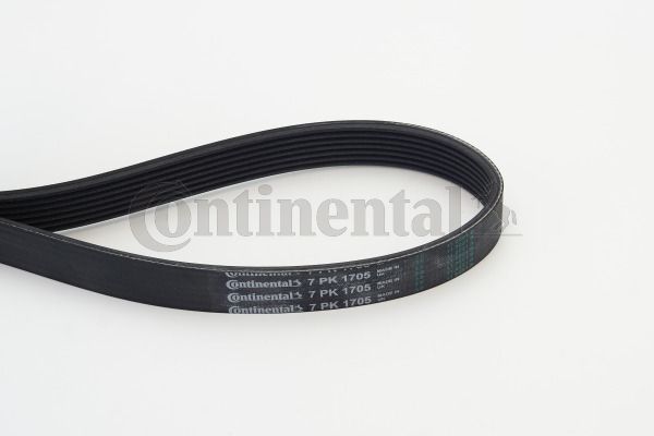 Pasek klinowy wielorowkowy CONTINENTAL CTAM 7PK1705