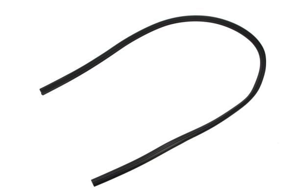 Garnitura, parbriz BLIC 5703-04-6037632Q