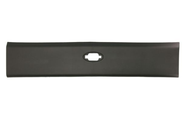 Ehis-/kaitseliist,külg