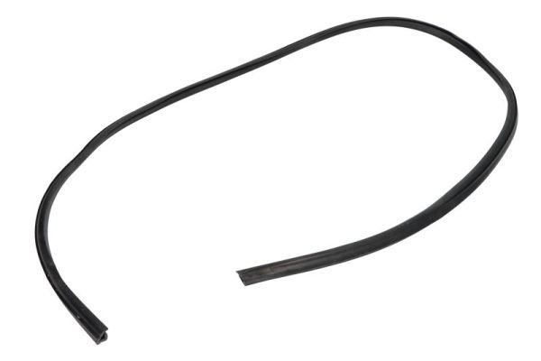 Garnitura, parbriz BLIC 5703-04-6037609Q