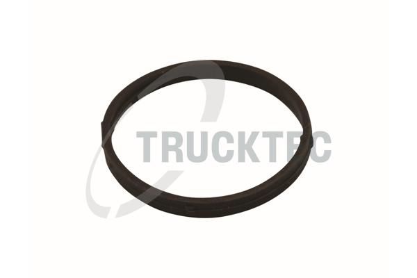 Blīve, Ieplūdes kolektora korpuss