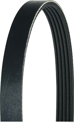 Pasek klinowy wielorowkowy HERTH+BUSS JAKOPARTS J1050976
