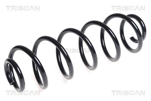 Arc spiral TRISCAN 8750 29272