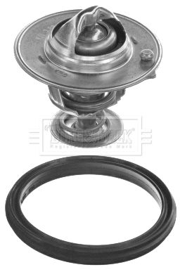 Termostat, środek chłodzący BORG & BECK BBT469