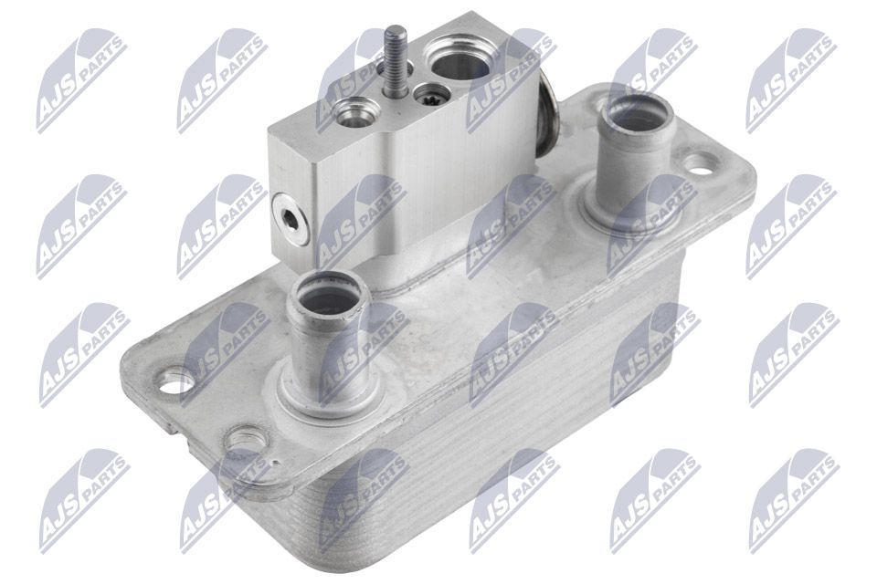 Dzesētājs, Elektroauto akumulatoru baterija (EVB)