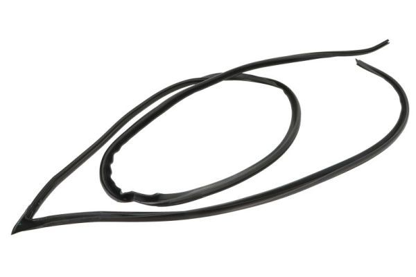 Garnitura, parbriz BLIC 5703-04-6037702Q