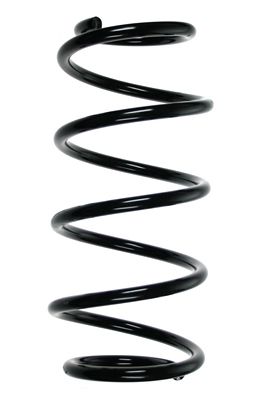 Arc spiral SPIDAN 55983