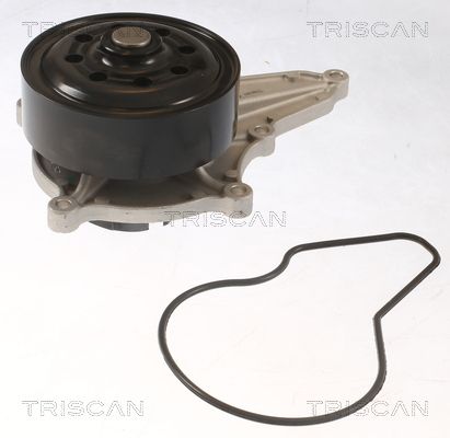Pompă de apă, răcire motor TRISCAN 8600 40021