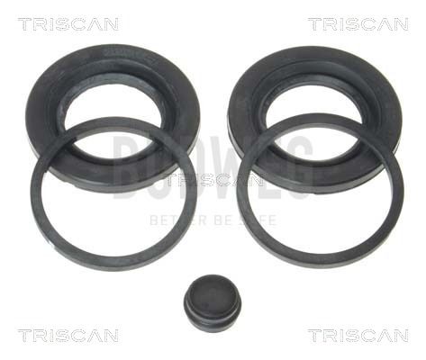 Zestaw naprawczy, zacisk hamulca TRISCAN 8170 203502