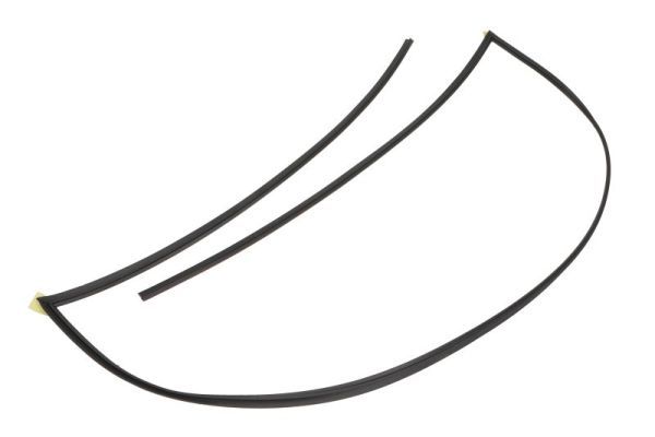 Garnitura, parbriz BLIC 5703-04-6037932Q