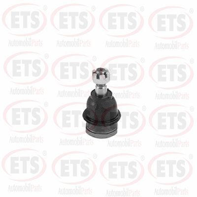 Przegub mocujący / prowadzący ETS 55.BJ.840