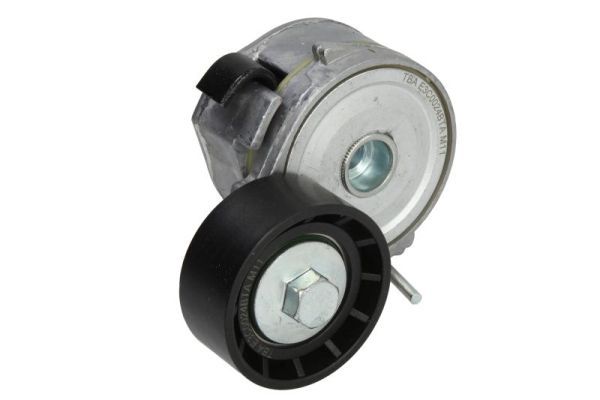 Intinzator curea, curea distributie BTA E3C0024BTA