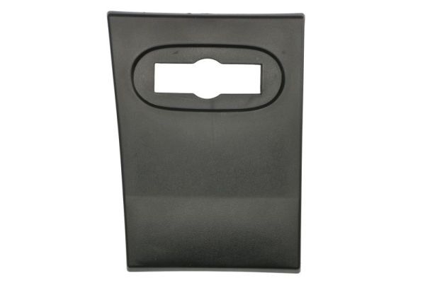 Ehis-/kaitseliist,külg