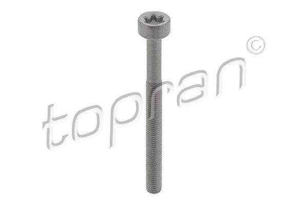 Surub, suport injector TOPRAN 410 287