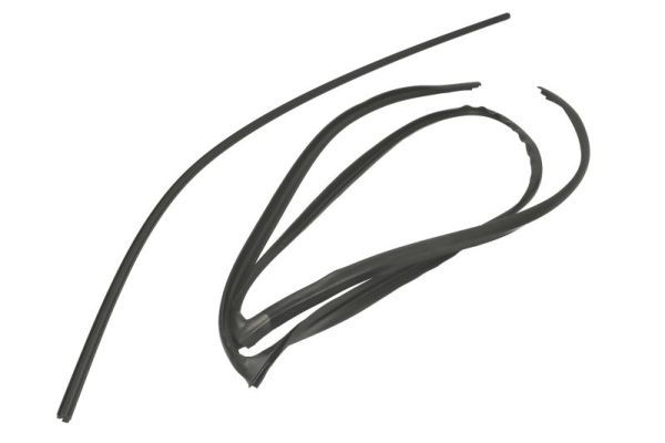 Elemente decorative/protectie, parbriz BLIC 5703-04-6037722Q