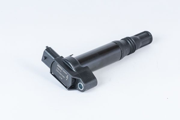 Cewka zapłonowa BORGWARNER (BERU) ZS574