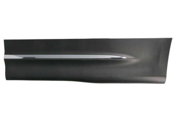 Elemente decorative/protectie, portiera BLIC 5703-04-3584575P