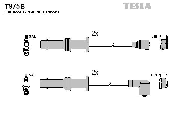 Set cablaj aprindere TESLA T975B