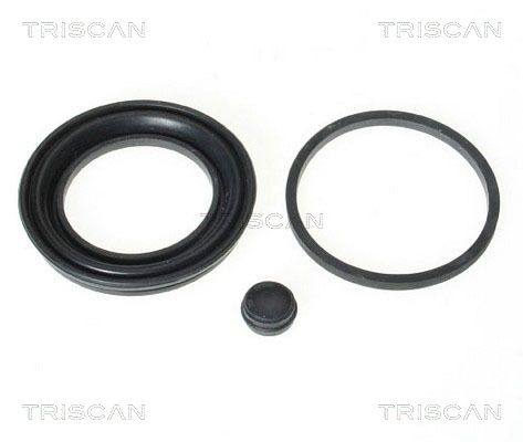 garnitura,piston etrier TRISCAN 8170 189926