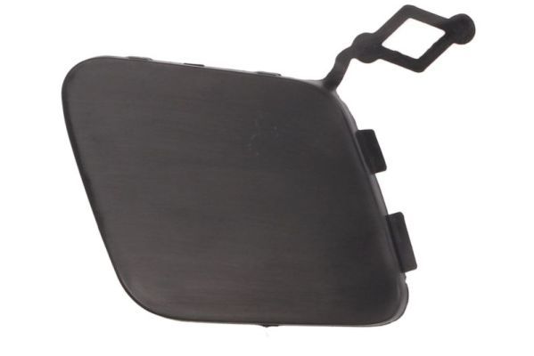 acoperire tampon,sistem de remorcare BLIC 5513-00-5519923P