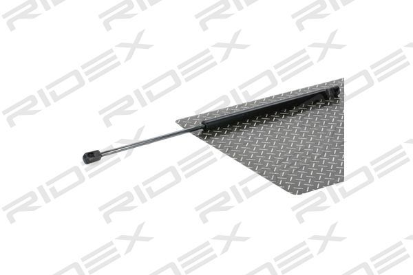 Sprężyna gazowa, pokrywa bagażnika RIDEX 219G0360