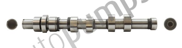 Ax cu came Autopumps UK AC2174