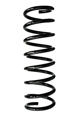 Arc spiral SPIDAN 88395