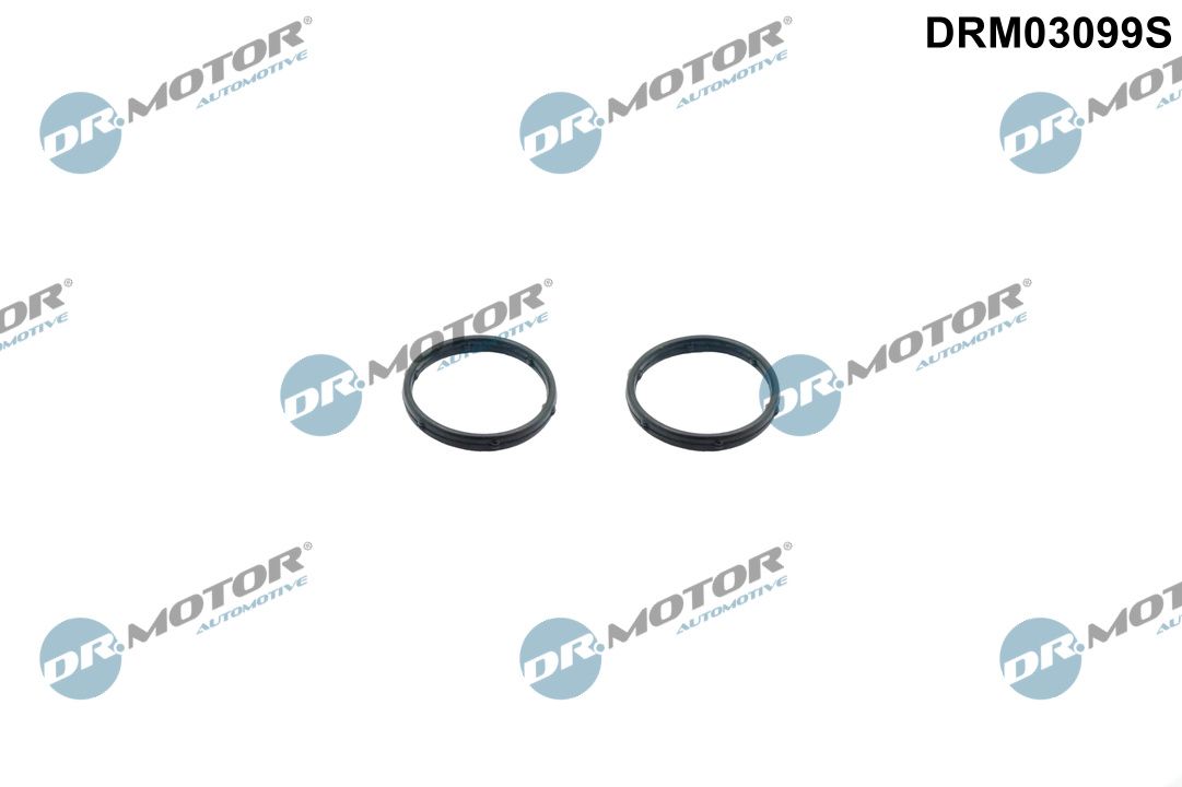 Zestaw uszczelek, pompa oleju DR.MOTOR AUTOMOTIVE DRM03099S