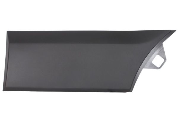 Ehis-/kaitseliist,Poritiib