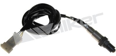 Sonda lambda WALKER PRODUCTS 250-24410