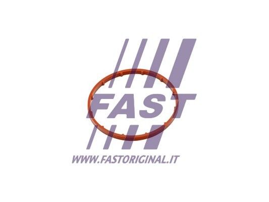 Uszczelka, pompa podciśnieniowa FAST FT50701