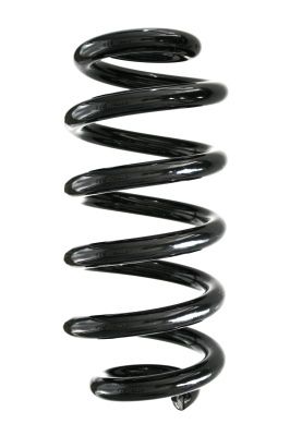 Arc spiral SPIDAN GKNW10026