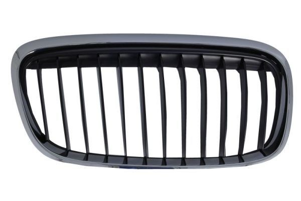 Grila radiator BLIC 6502-07-0071996SP