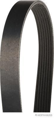 Pasek klinowy wielorowkowy HERTH+BUSS JAKOPARTS J1071380