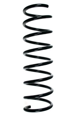 Arc spiral SPIDAN 85912