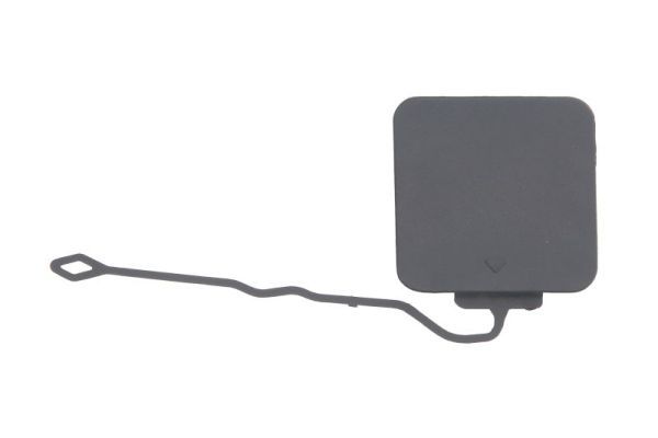 acoperire tampon,sistem de remorcare BLIC 5513-00-0077971P