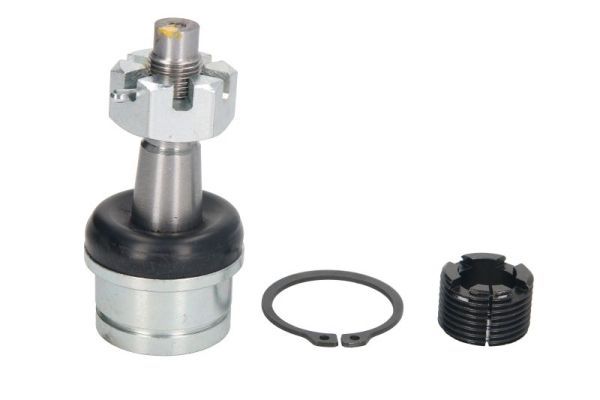 Pivot REINHOCH RH03-6004