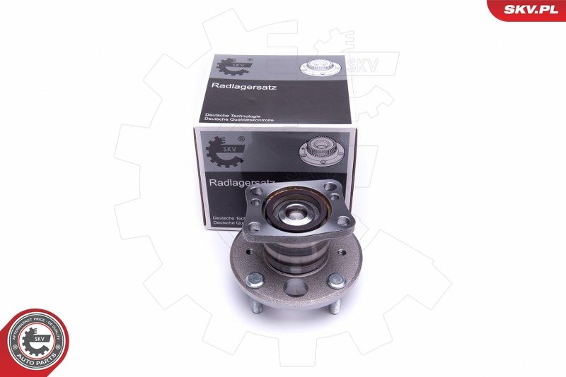 Set rulment roata ESEN SKV 29SKV316