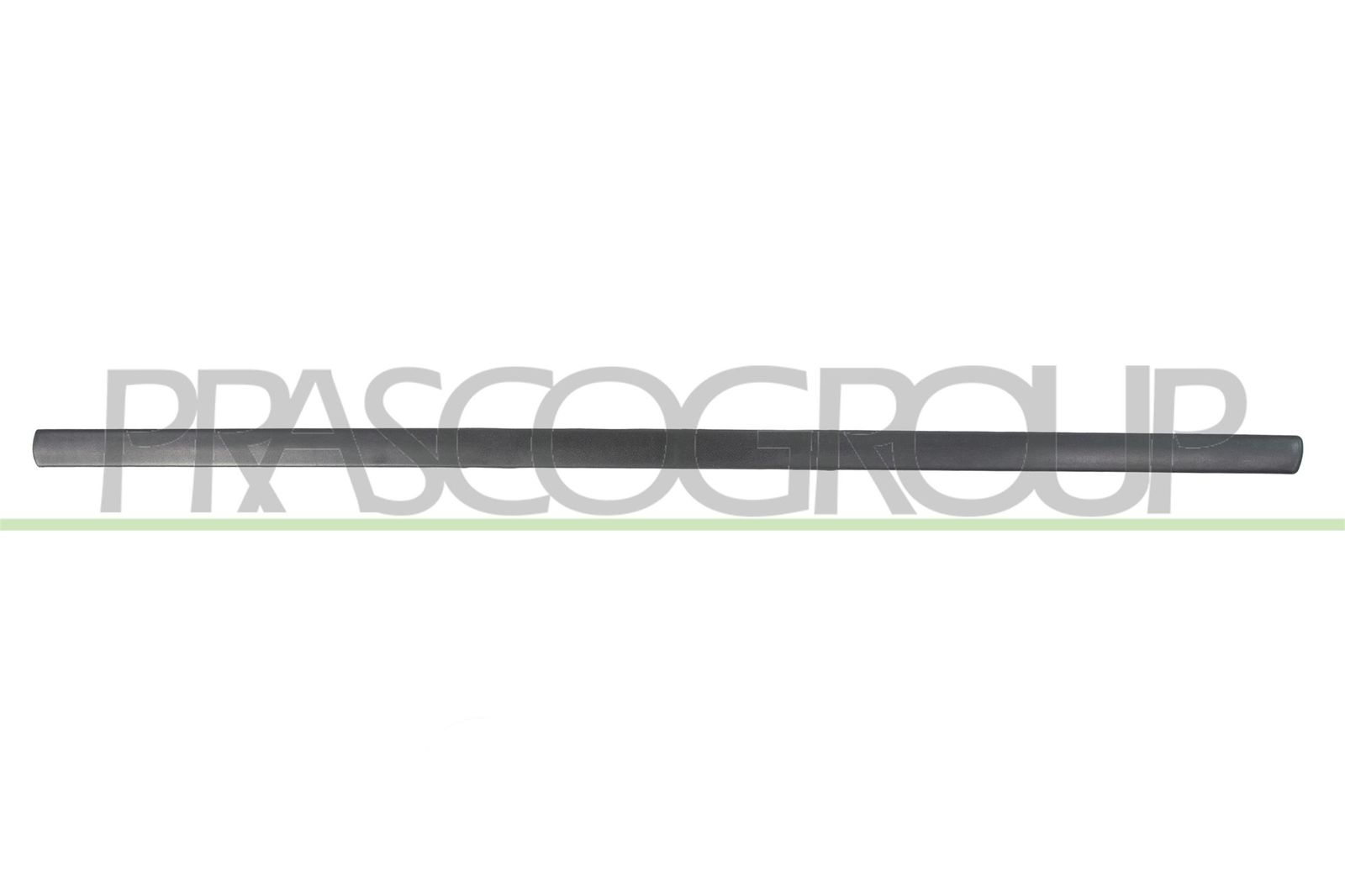 Elemente decorative/protectie, portiera PRASCO VG0211403